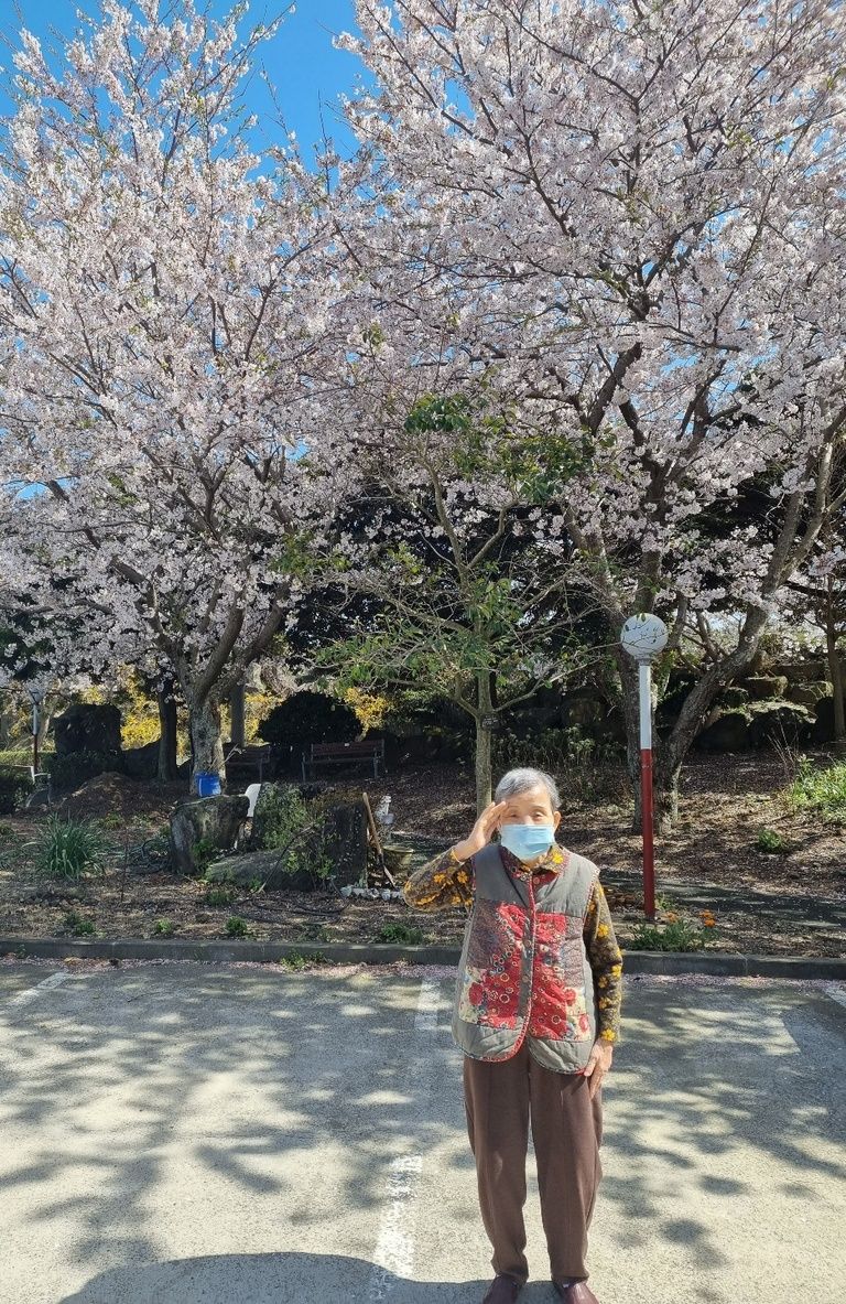 2021년 3월 요양원 앞마당 벚꽃구경 나들이